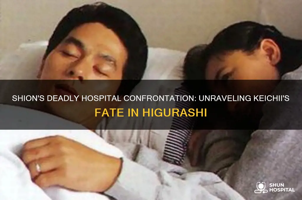 how did shion kill keichii in the hospital higurashi