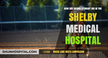Sierra Stewart's Tragic Death at Shelby Medical Hospital: Unraveling the Mystery