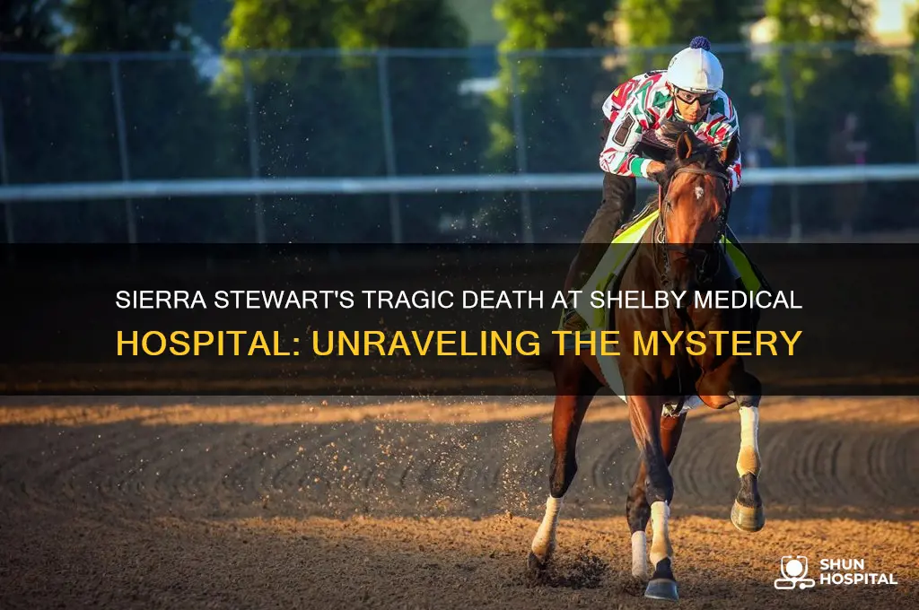how did sierra stewart die in the shelby medical hospital