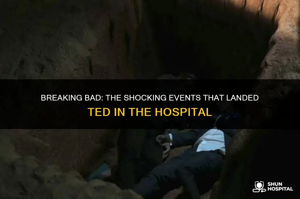how did ted end up in hospital breaking bad