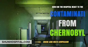 Chernobyl Contamination: Hospital Response and Crisis Management Strategies