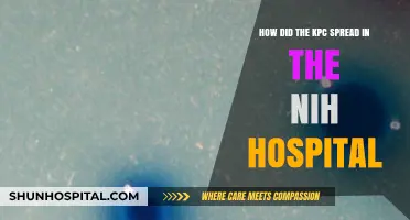 Unraveling the KPC Outbreak: Spread in NIH Hospital Explained