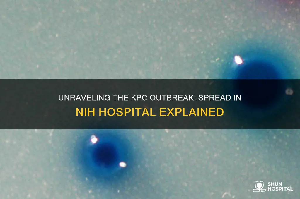 how did the kpc spread in the nih hospital