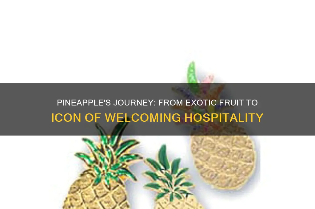 how did the pineapple became a symbol of hospitality