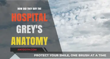 Grey's Anatomy Hospital Purchase: Unraveling the Story Behind the Buyout
