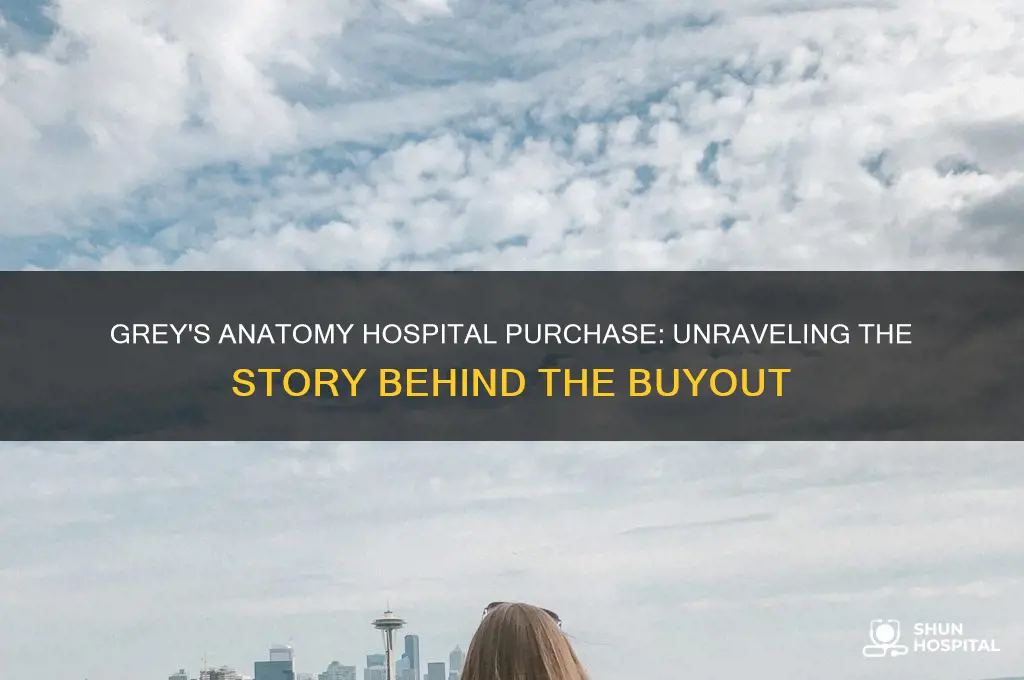how did they buy the hospital grey