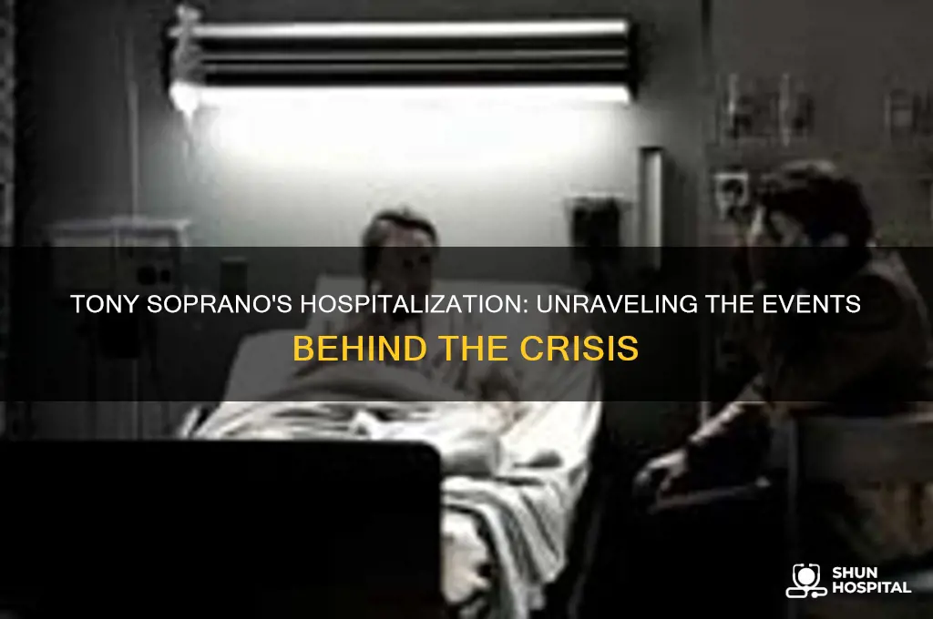 how did tony soprano end up in the hospital