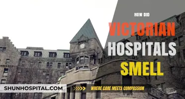 Unveiling the Aromatic Secrets of Victorian-Era Hospitals