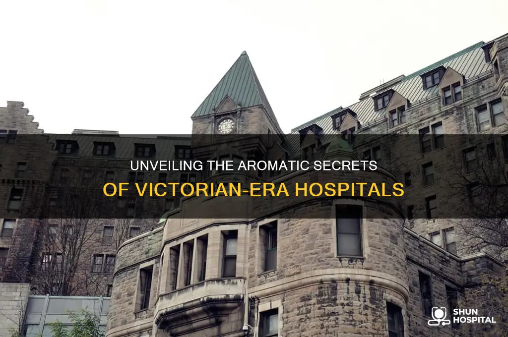 how did victorian hospitals smell