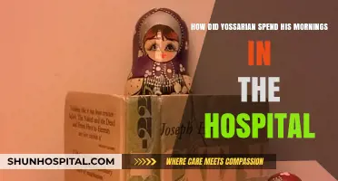 Yossarian's Hospital Mornings: Routine, Reflection, and Rebellion in Catch-22