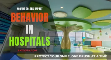Hospital Hues: Impacting Patient Behavior and Experience