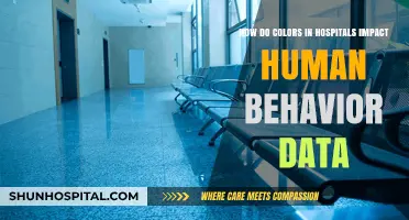 How Hospital Color Schemes Influence Patient Behavior and Outcomes