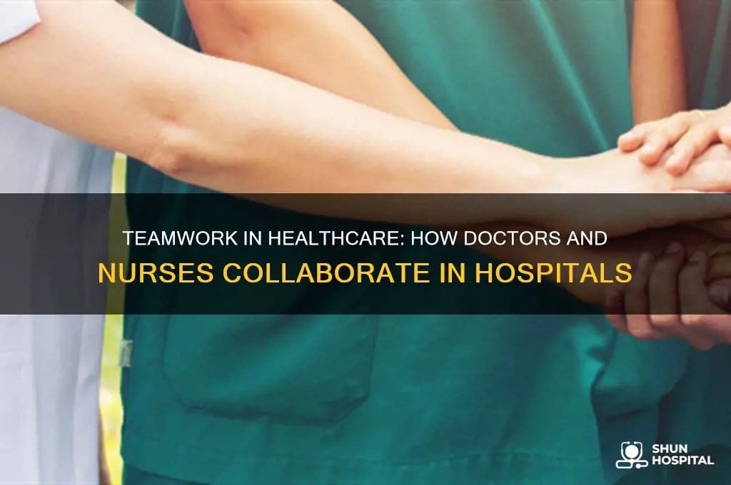 how do doctors and nurses function in a hospital together