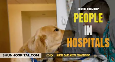 Man's Best Friend: Healing Hospital Patients