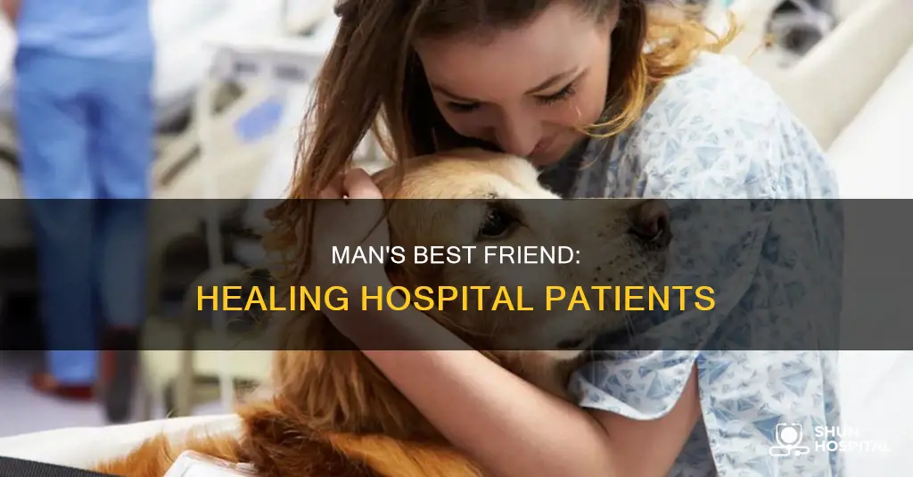 how do dogs help people in hospitals