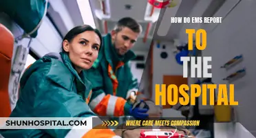 EMS Hospital Reporting: A Seamless Process