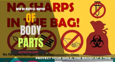 Hospital Body Part Disposal: A Safe, Respectful Process