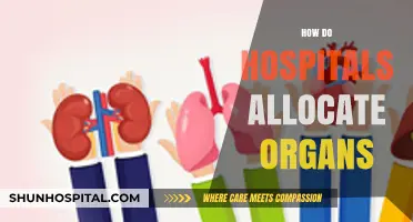 Organ Allocation in Hospitals: Fairness, Urgency, and Life-Saving Decisions
