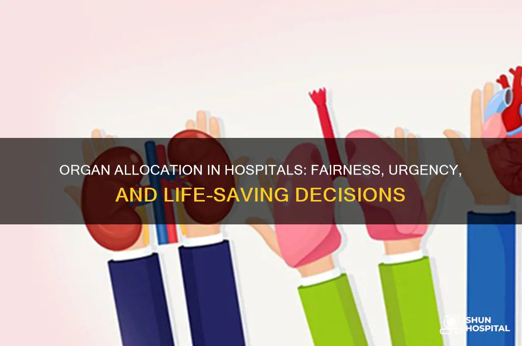 how do hospitals allocate organs