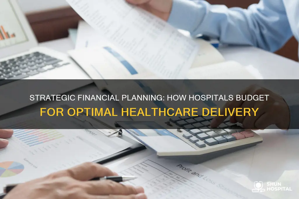 how do hospitals budget