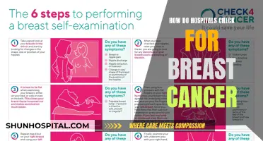 Breast Cancer Detection: Hospital Procedures Explained