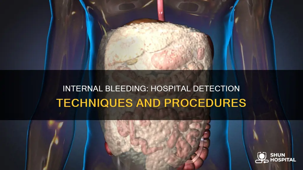 how do hospitals check for internal bleeding