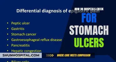 Stomach Ulcers: Hospital Diagnosis and Treatment Options