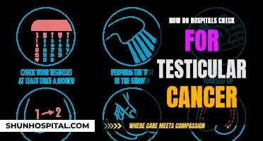 Detecting Testicular Cancer: Hospital Examination Procedures