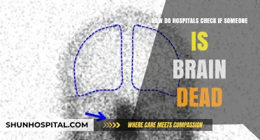 Brain Death Diagnosis: Hospital Protocols and Procedures Explained
