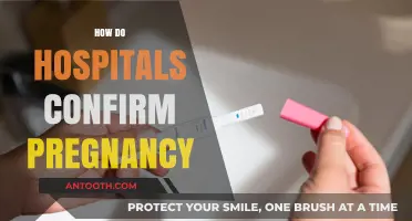 Pregnancy Confirmation: Hospital Methods and Tests Explained Simply