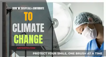 Hospitals' Climate Impact: Energy Usage and Carbon Emissions