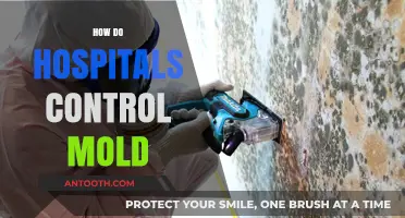 Effective Strategies Hospitals Use to Prevent and Control Mold Growth