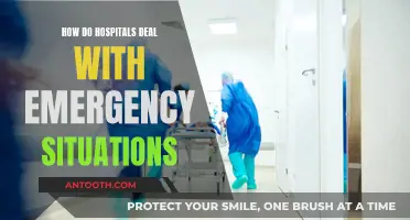 Emergency Preparedness: Hospitals' Strategies for Crisis Management