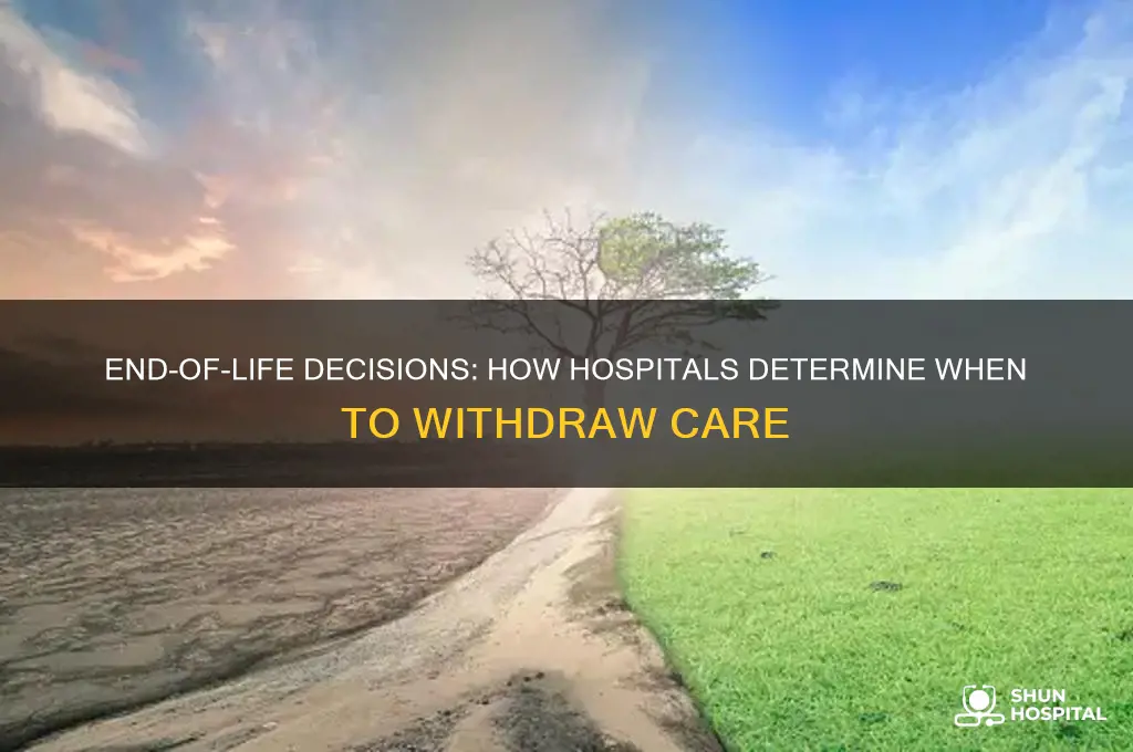 how do hospitals decide to pull the plug on individuals