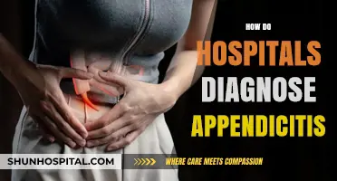 Diagnosing Appendicitis: Hospital Methods and Key Symptoms Explained