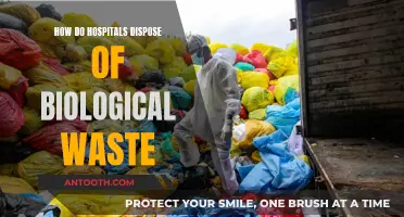 Safe Disposal of Hospital Waste: The Process Explained