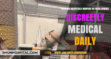 Discreet Hospital Body Disposal: Medical Daily's Guide to Ethical Practices