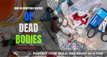 The Disposal Process of Dead Bodies in Hospitals