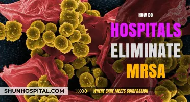 Effective Strategies Hospitals Use to Eradicate MRSA Infections