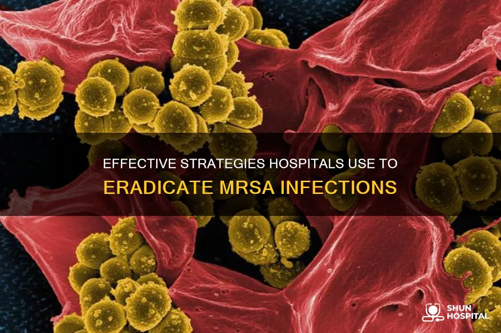 how do hospitals eliminate mrsa