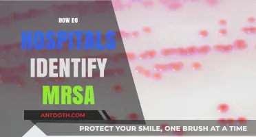 Identifying MRSA in Hospitals: Methods, Testing, and Prevention Strategies