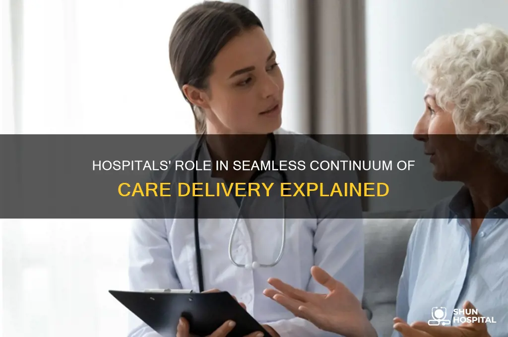 how do hospitals interface with the continuum of care delivery