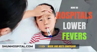 Effective Hospital Methods to Safely Reduce Fevers in Patients