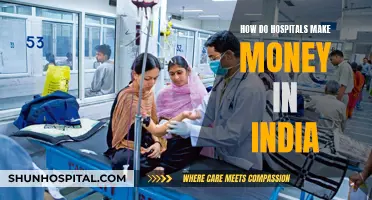 Hospitals' Profit Strategies in India