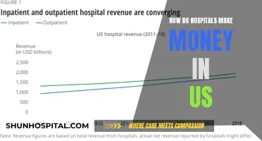 Hospitals' Revenue Streams: Uncovering the US Healthcare System