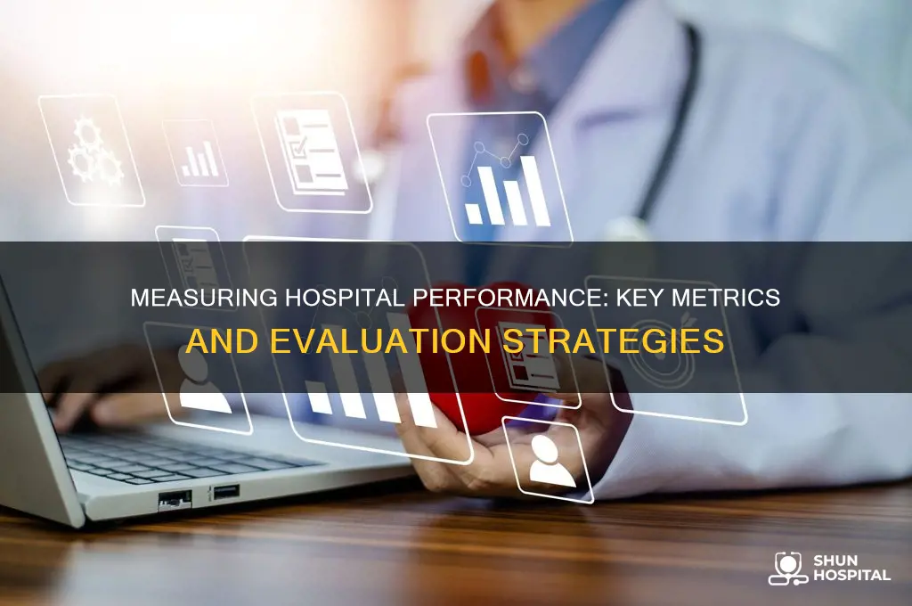 how do hospitals measure performance