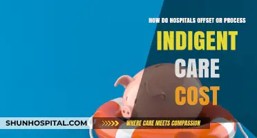 How Hospitals Manage and Offset Indigent Care Costs Effectively
