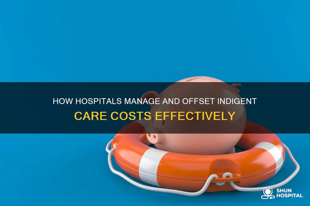 how do hospitals offset or process indigent care cost