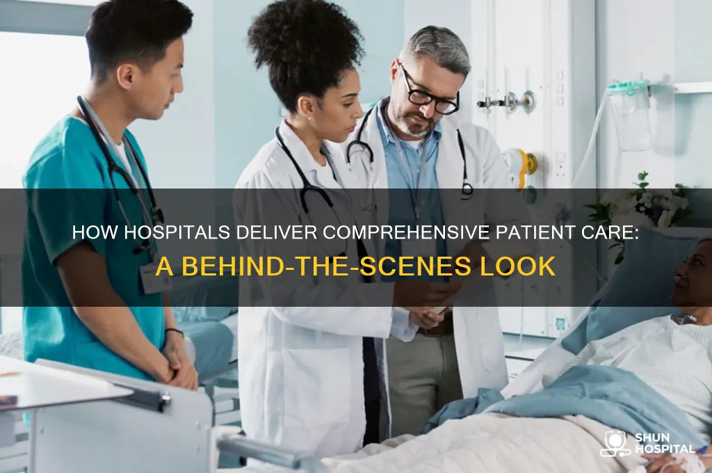 how do hospitals provide care