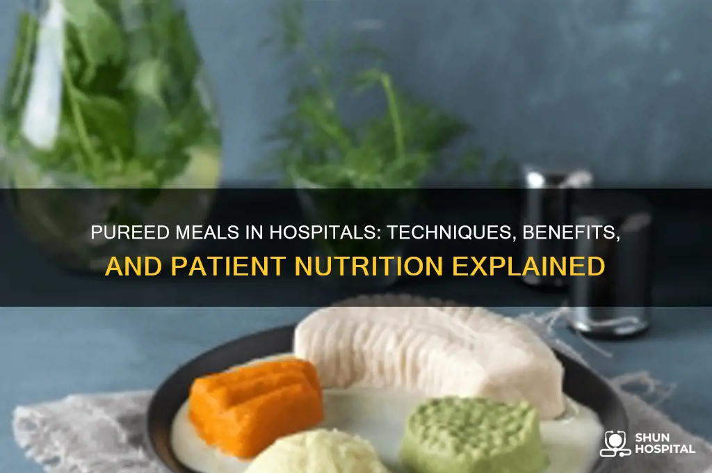 how do hospitals puree food